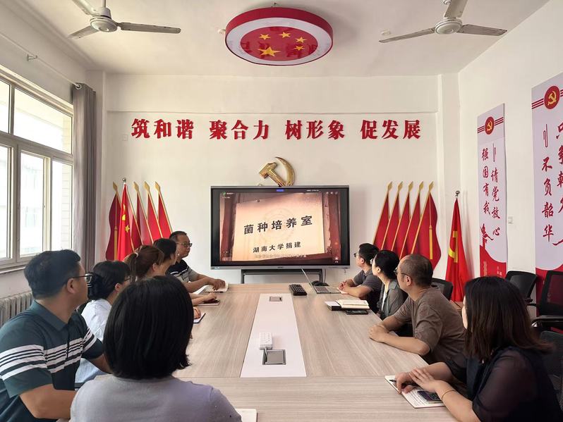 联系电话